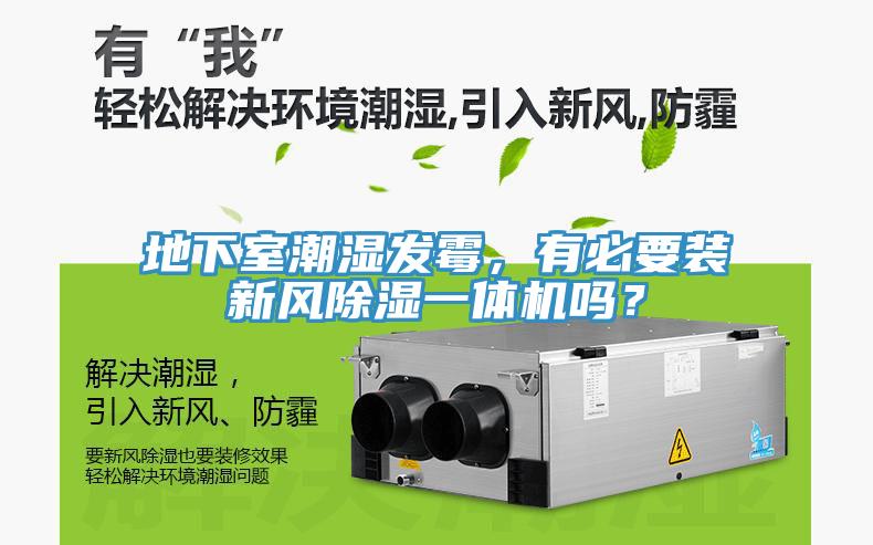 地下室潮濕發霉，有必要裝新風除濕一體機嗎？