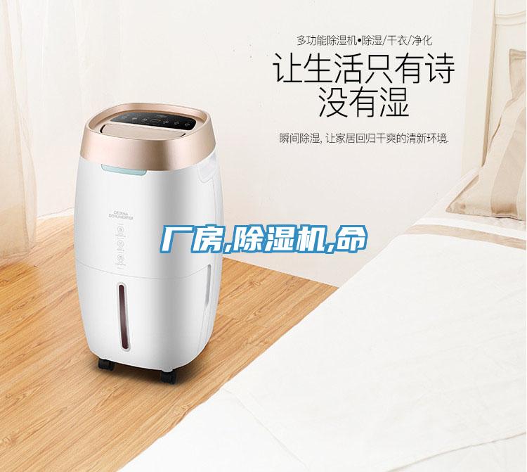 廠房,除濕機,命
