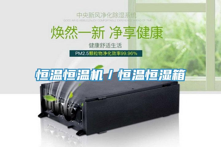 恒溫恒溫機/恒溫恒濕箱