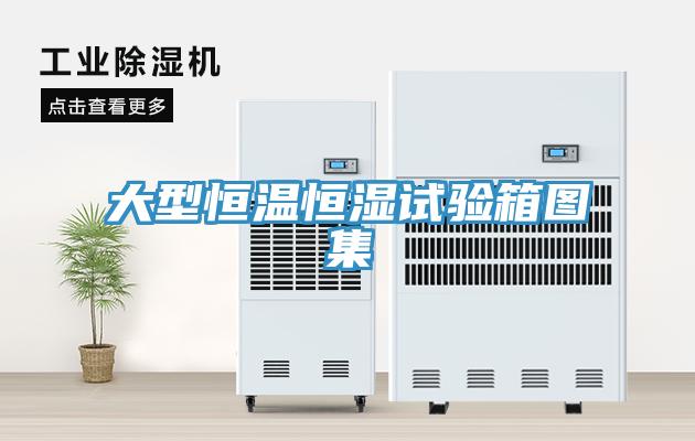 大型恒溫恒濕試驗箱圖集