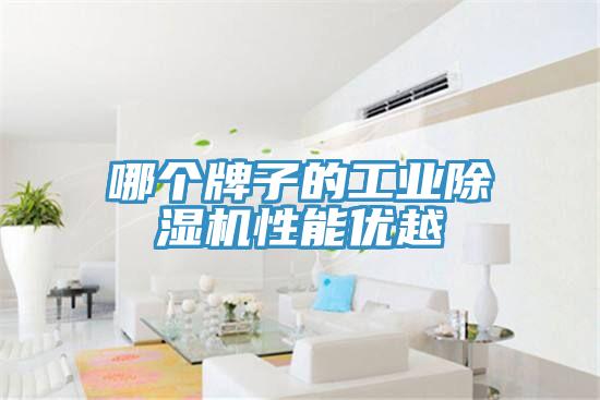 哪個牌子的工業除濕機性能優越
