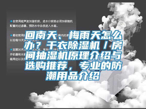 回南天、梅雨天怎么辦?干衣除濕機/房間抽濕機原理介紹與選購推薦,專業的防潮用品介紹
