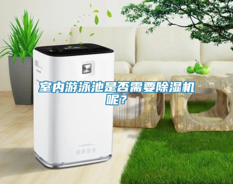 室內游泳池是否需要除濕機呢？