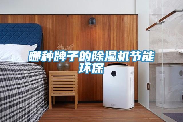 哪種牌子的除濕機(jī)節(jié)能環(huán)保