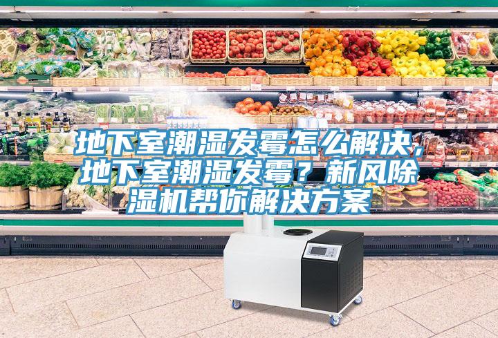 地下室潮濕發霉怎么解決，地下室潮濕發霉？新風除濕機幫你解決方案