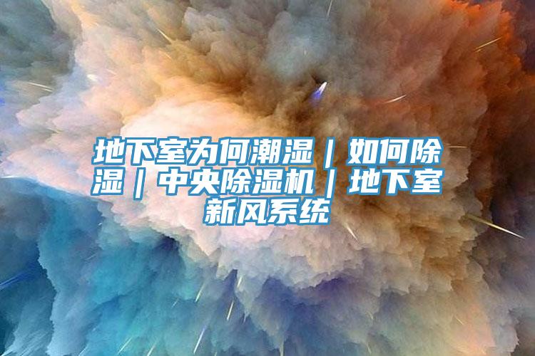 地下室為何潮濕｜如何除濕｜中央除濕機｜地下室新風系統