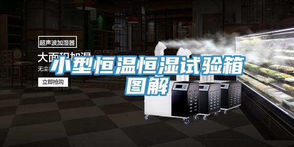 小型恒溫恒濕試驗箱圖解