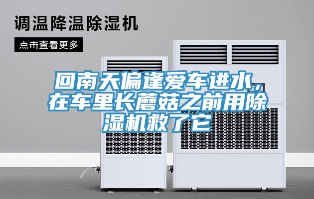 回南天偏逢愛車進水,在車里長蘑菇之前用除濕機救了它