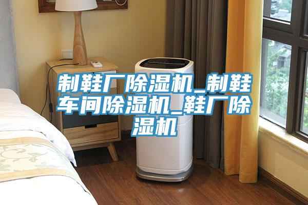制鞋廠除濕機_制鞋車間除濕機_鞋廠除濕機