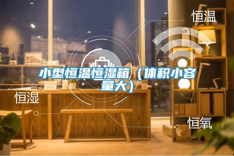 小型恒溫恒濕箱(體積小容量大)