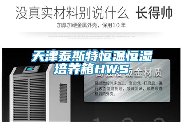 天津泰斯特恒溫恒濕培養箱HWS