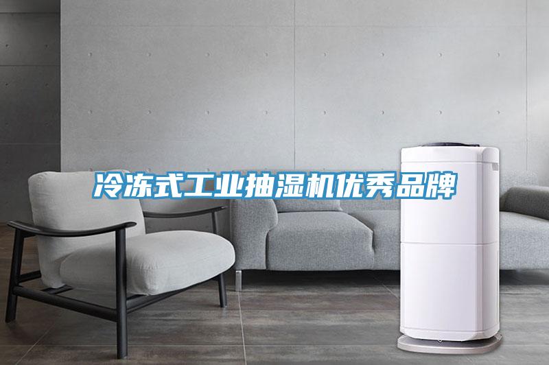 冷凍式工業抽濕機優秀品牌