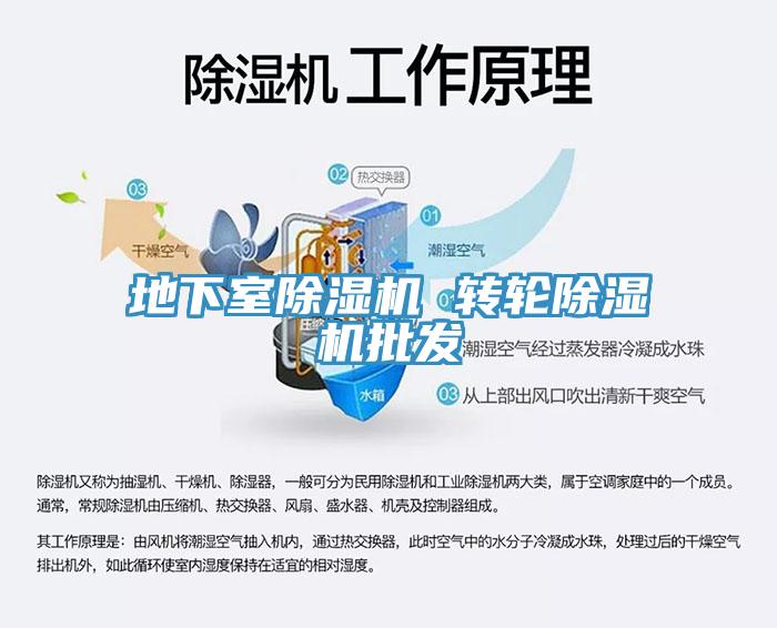 地下室除濕機 轉輪除濕機批發