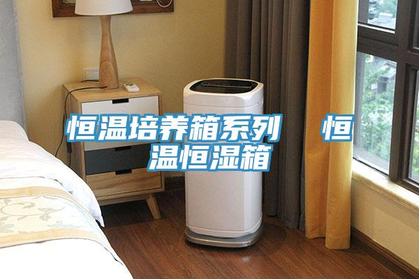 恒溫培養箱系列 恒溫恒濕箱