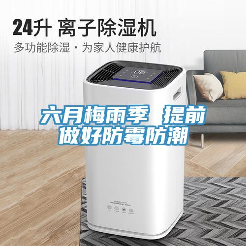 六月梅雨季 提前做好防霉防潮