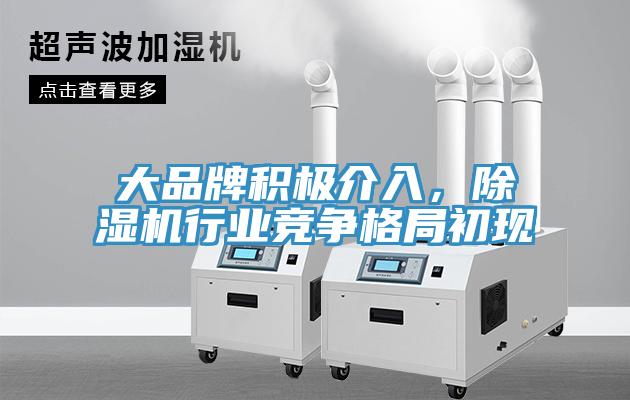 大品牌積極介入，除濕機行業競爭格局初現