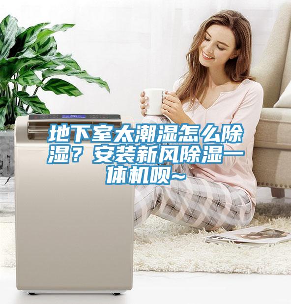 地下室太潮濕怎么除濕？安裝新風除濕一體機唄~