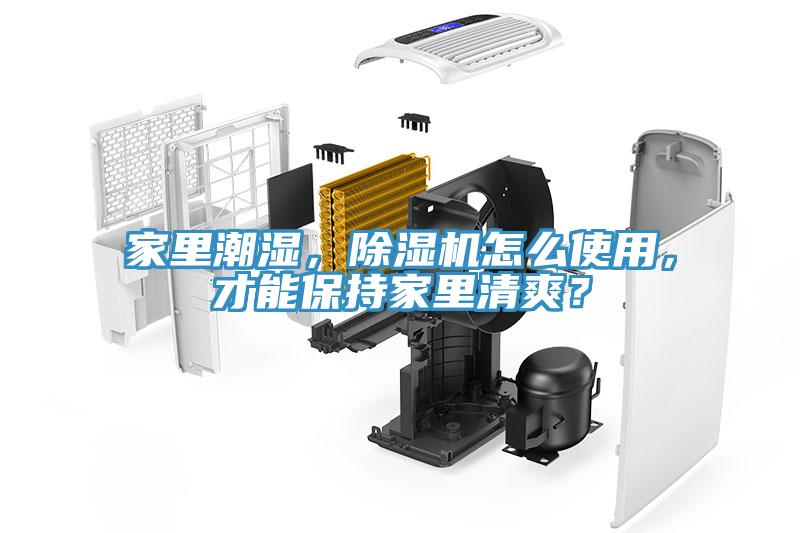家里潮濕，除濕機怎么使用，才能保持家里清爽？