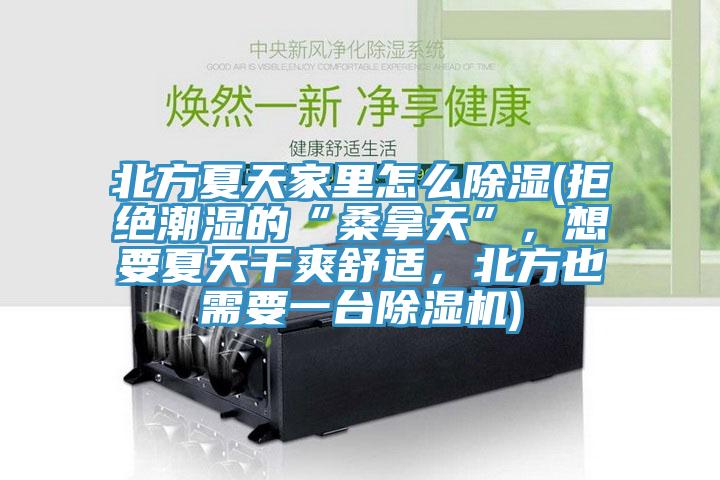 北方夏天家里怎么除濕(拒絕潮濕的“桑拿天”,想要夏天干爽舒適,北方也需要一臺除濕機)