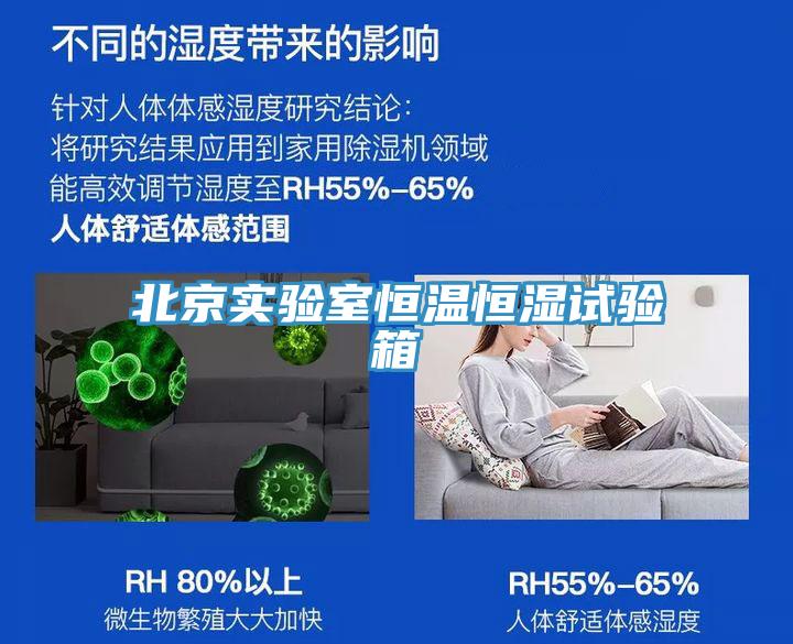 北京實驗室恒溫恒濕試驗箱