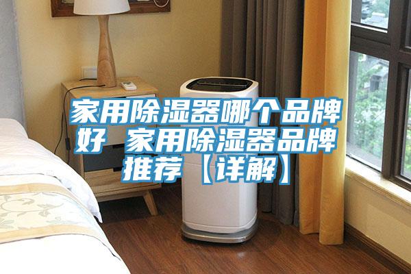 家用除濕器哪個品牌好 家用除濕器品牌推薦【詳解】
