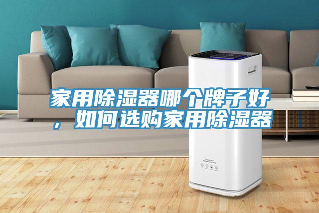 家用除濕器哪個牌子好，如何選購家用除濕器