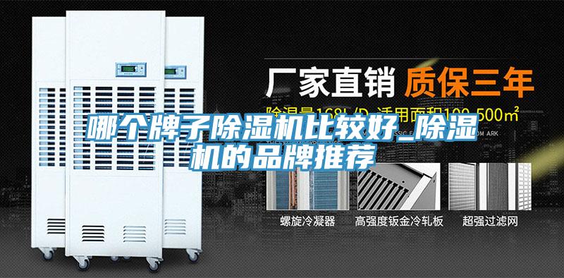 哪個(gè)牌子除濕機(jī)比較好_除濕機(jī)的品牌推薦