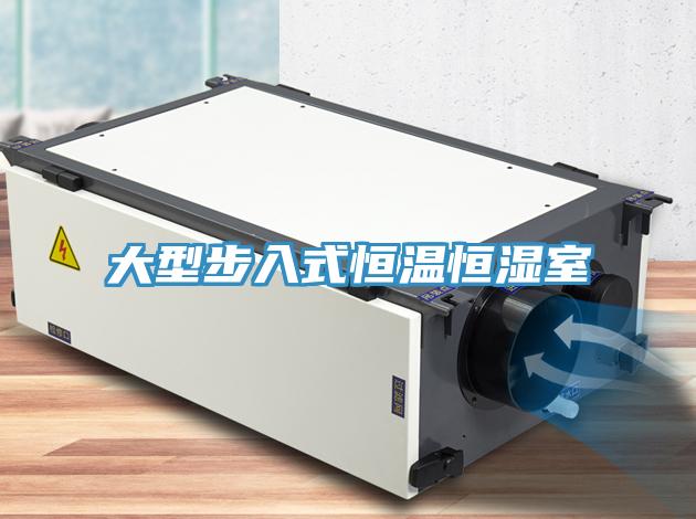 大型步入式恒溫恒濕室