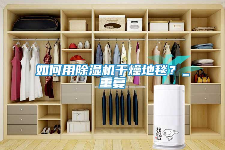 如何用除濕機干燥地毯？_重復