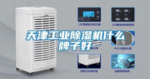 天津工業除濕機什么牌子好