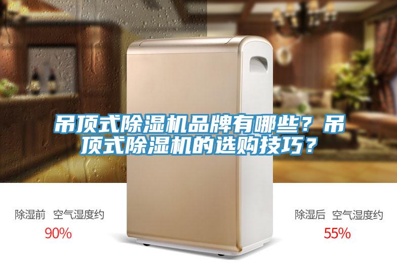 吊頂式除濕機品牌有哪些？吊頂式除濕機的選購技巧？