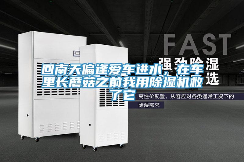 回南天偏逢愛車進水,在車里長蘑菇之前我用除濕機救了它
