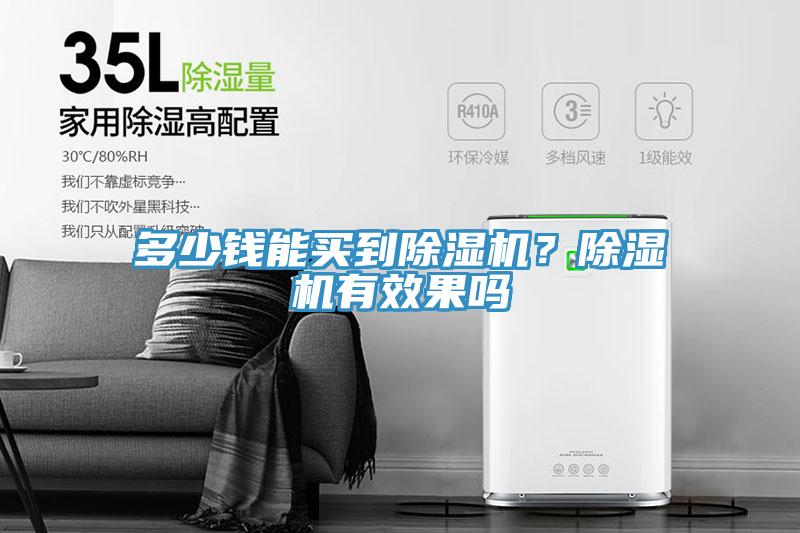 多少錢能買到除濕機？除濕機有效果嗎