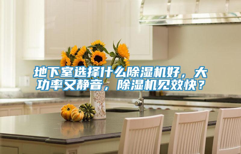 地下室選擇什么除濕機好,大功率又靜音,除濕機見效快?