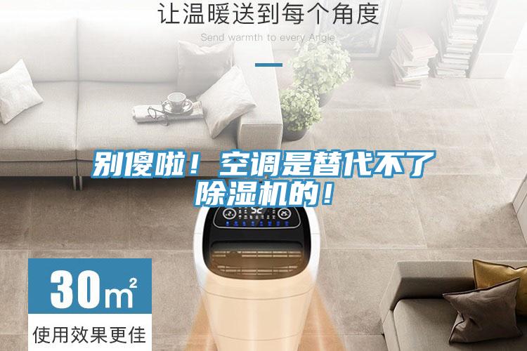 別傻啦！空調是替代不了除濕機的！