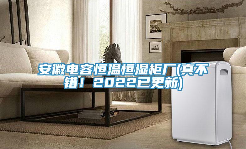 安徽電容恒溫恒濕柜廠(真不錯！2022已更新)