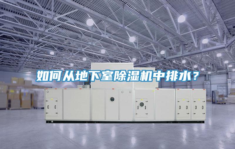 如何從地下室除濕機中排水？