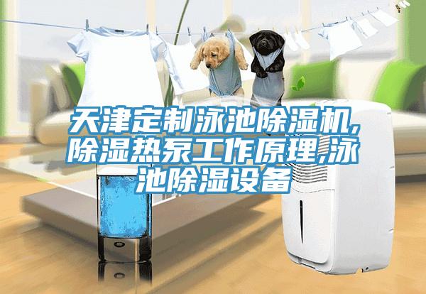 天津定制泳池除濕機,除濕熱泵工作原理,泳池除濕設備