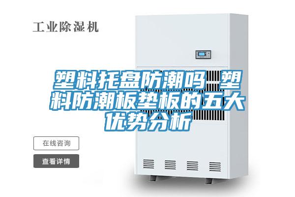 塑料托盤防潮嗎 塑料防潮板墊板的五大優勢分析