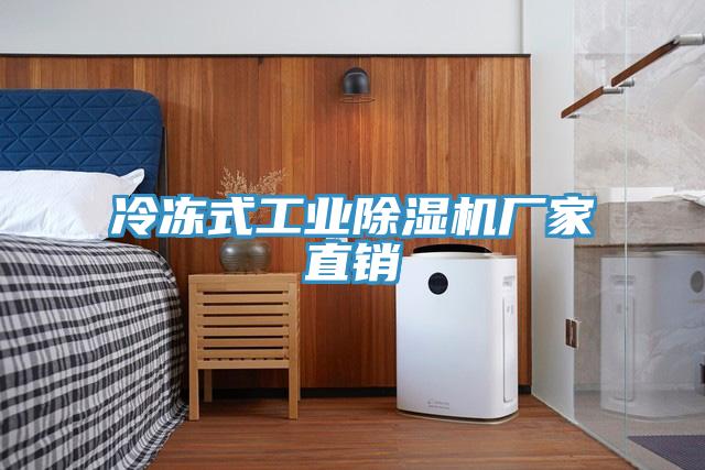 冷凍式工業除濕機廠家直銷