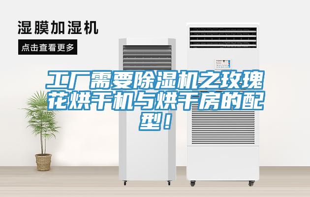 工廠需要除濕機之玫瑰花烘干機與烘干房的配型！