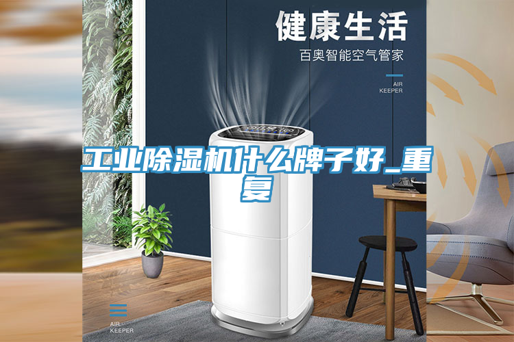 工業除濕機什么牌子好_重復