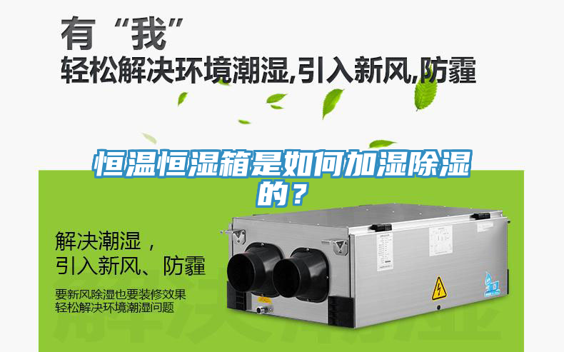 恒溫恒濕箱是如何加濕除濕的？