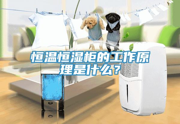 恒溫恒濕柜的工作原理是什么?