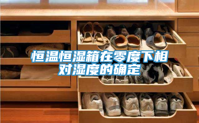 恒溫恒濕箱在零度下相對濕度的確定