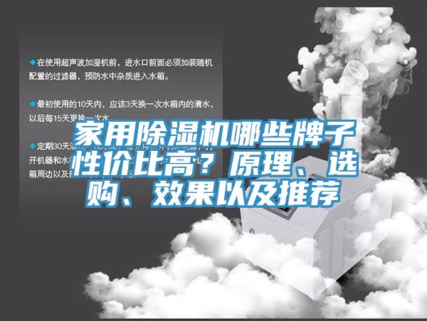 家用除濕機哪些牌子性價比高？原理、選購、效果以及推薦