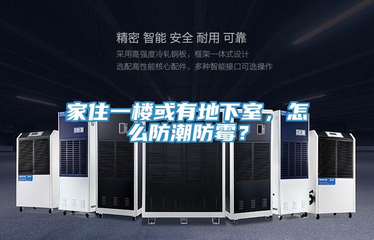 家住一樓或有地下室，怎么防潮防霉？