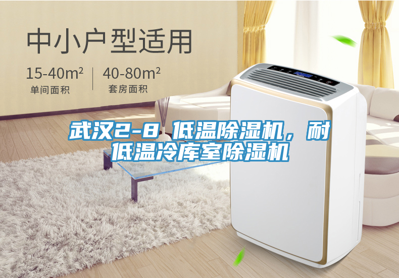 武漢2-8℃低溫除濕機，耐低溫冷庫室除濕機