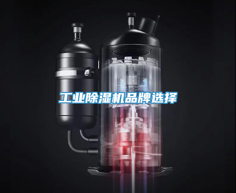 工業除濕機品牌選擇