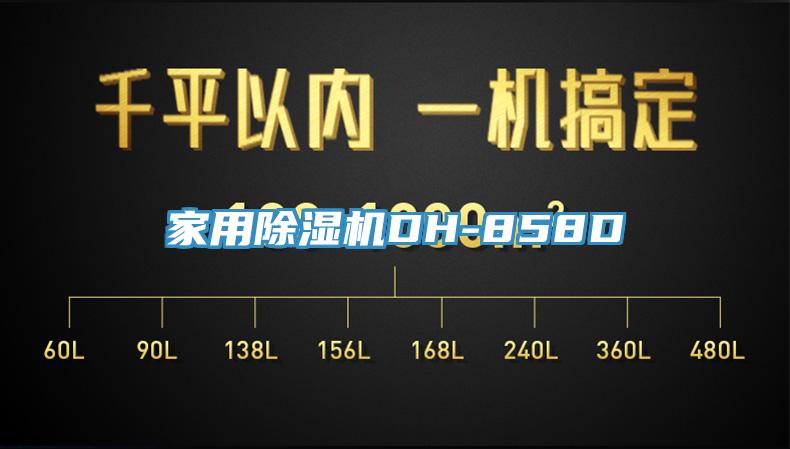 家用除濕機DH-858D
